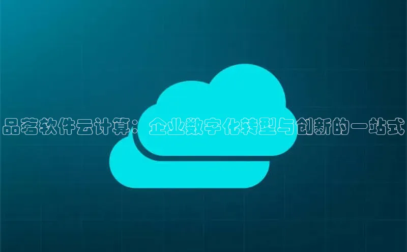 金年会金字招牌诚信至上|金年会首页赛富乐斯品茗软件云计算：企业数字化转型与创新的一站式