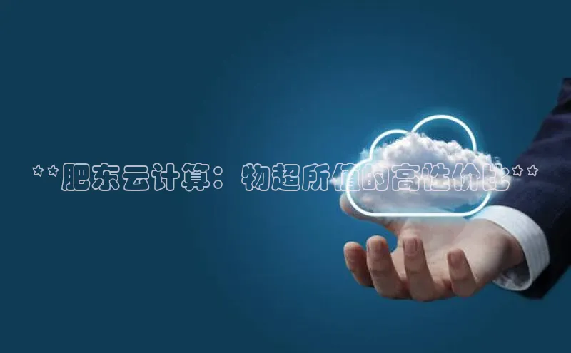 金年会官方网站入口汉得信息**肥东云计算：物超所值的高性价比**
