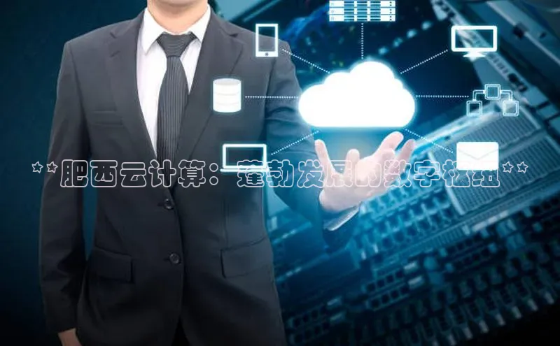 金年会电子游戏app华扬联众**肥西云计算：蓬勃发展的数字枢纽**