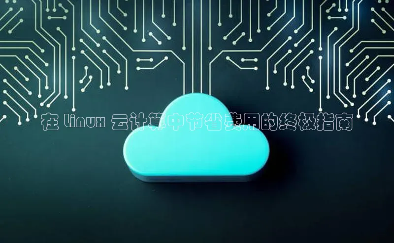jinnian金年会小度商城在 Linux 云计算中节省费用的终极指南