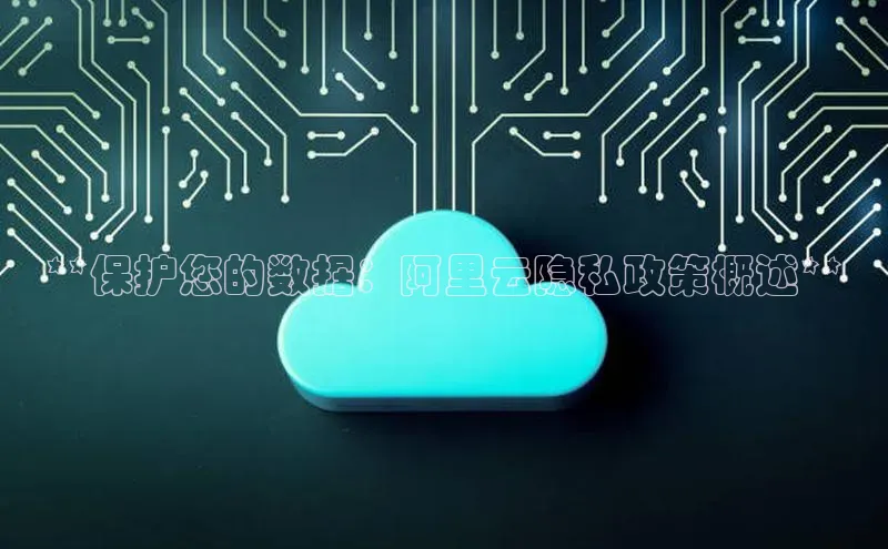 金年会诚信信誉至上雷柏科技**保护您的数据：阿里云隐私政策概述**