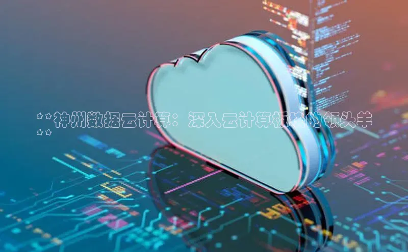 金年会 金字招牌诚信至上网易**神州数据云计算：深入云计算板块的领头羊
**
