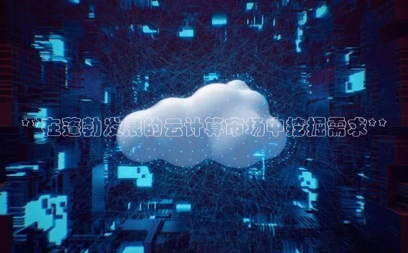 金年会金字招牌诚信至上欢迎您顺丰**在蓬勃发展的云计算市场中挖掘需求**