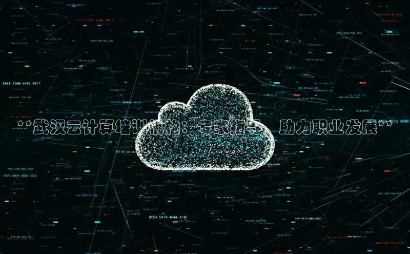 金年汇app官方网站下载安装颐驰 06**武汉云计算培训机构：专家指导，助力职业发展**