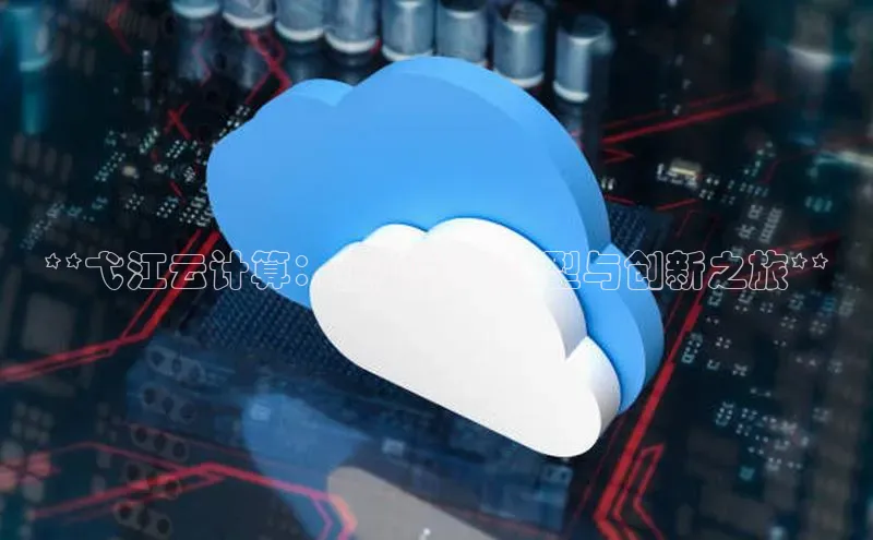 金年汇app官方网站下载安装颐驰 06**弋江云计算：企业数字转型与创新之旅**