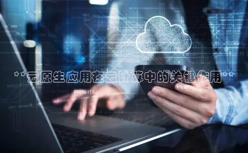 金年会金字招牌诚信至上|金年会首页赛富乐斯**云原生应用在云计算中的关键作用**