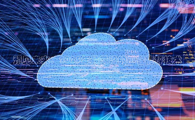 预见未来：2025年最前沿的AI智能秤技术